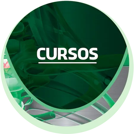 Cursos